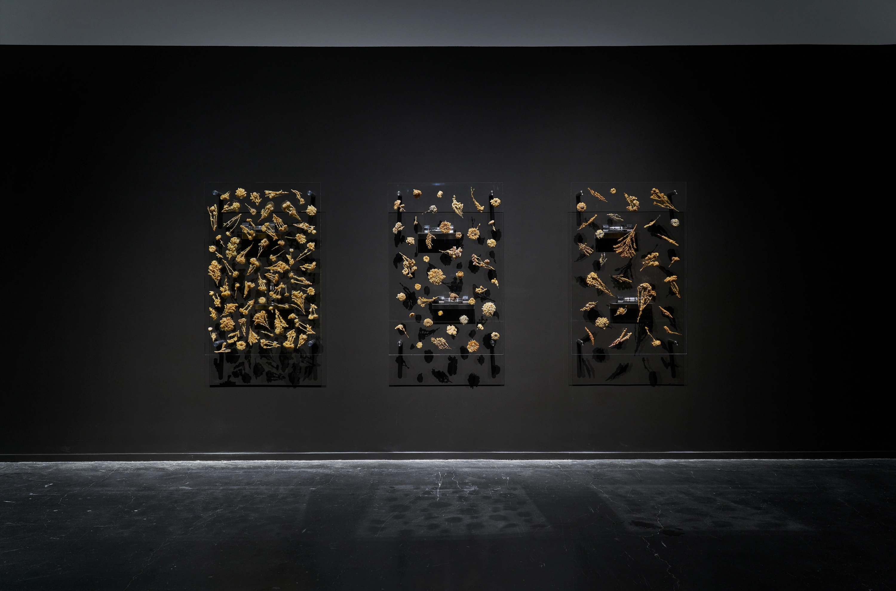 There Exists Another Evolution, But In This One at UCCA, Beijing